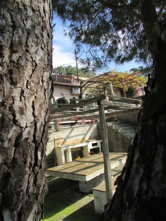 カステルモーラ Rifugio Dei Tre Piniゲストハウス エクステリア 写真